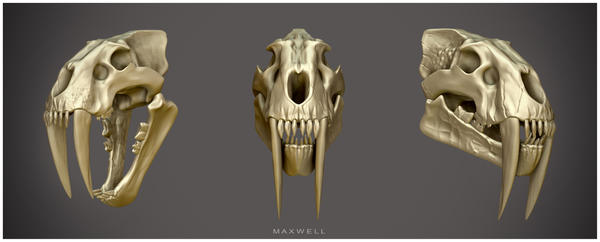 SABERTOOTH by WXKO on DeviantArt