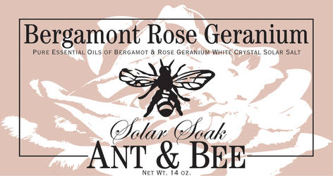 Ant + Bee Jar Label