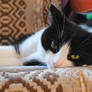 Lying On the Rocking Chair