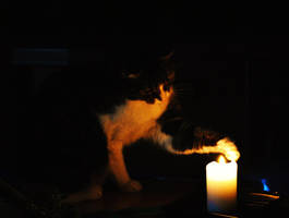 Candle and a Cat