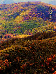 Alpine Loop Fall Colors