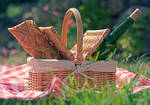 Dejeuner sur l'herbe by Catlaxy