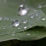 Diamonds in the Rain