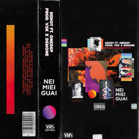 Nei Miei Guai / VHS Version