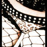 -Leopard and Fishnet-