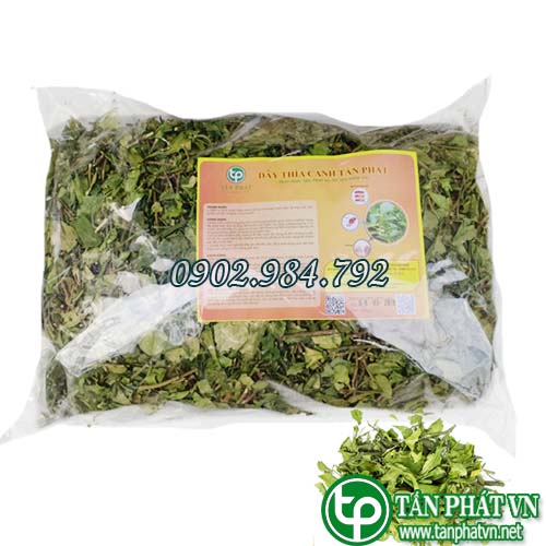 Kết quả hình ảnh cho dây thìa canh tấn phát