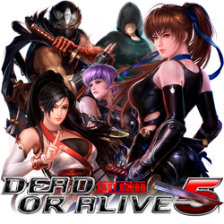 Dead or Alive 5: Last Round Icon