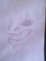 Wip Smaug