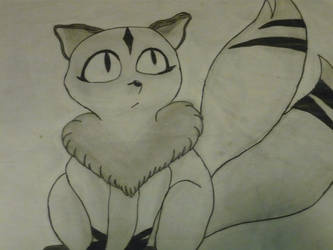 Kirara: InuYasha