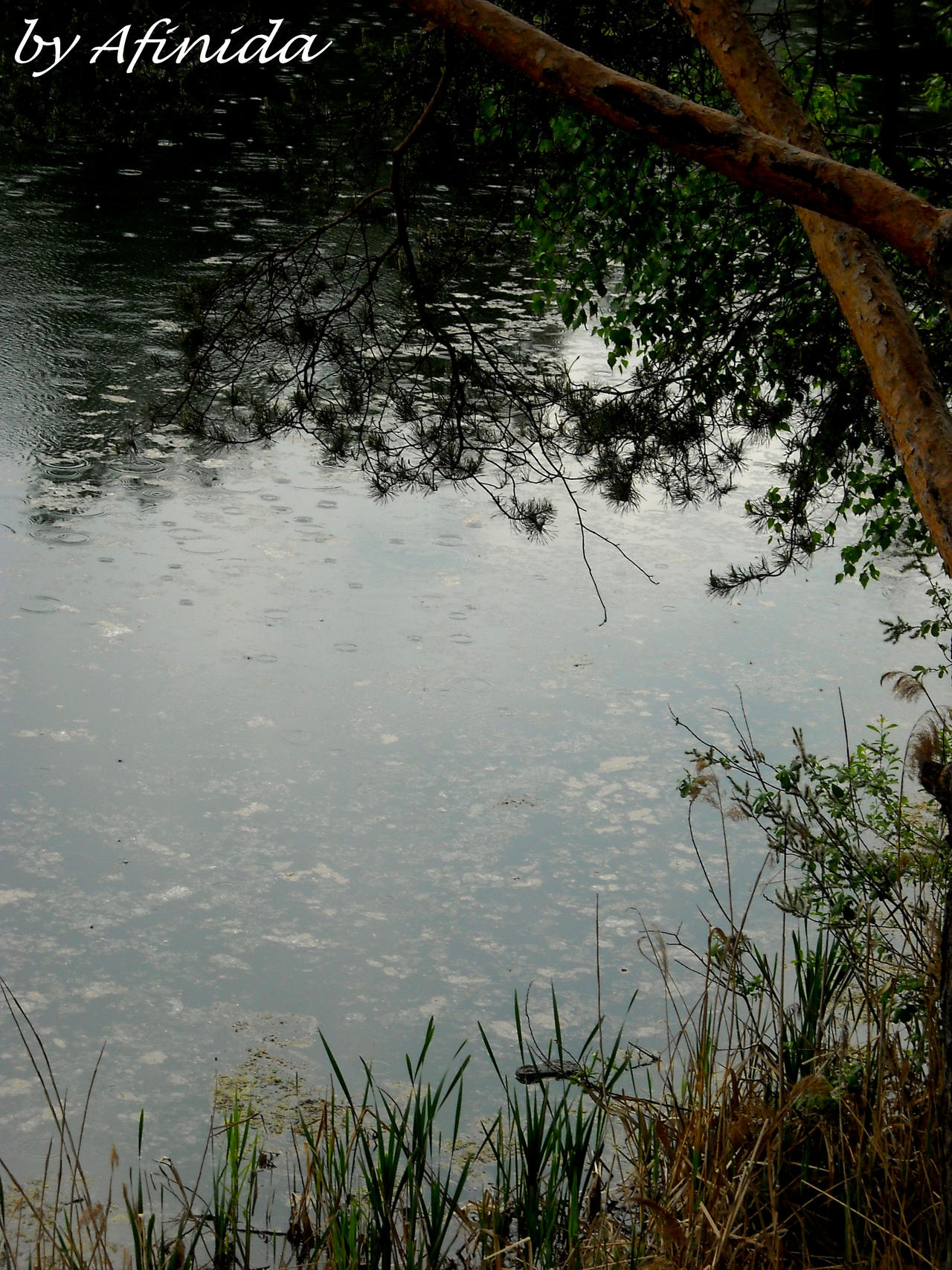 rain by Afinida on DeviantArt
