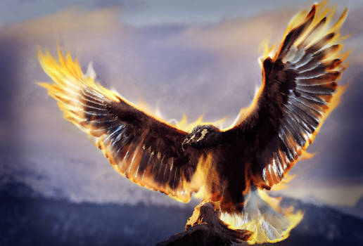 The Phoenix