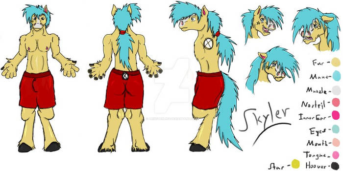 Skyler Ref Sheet (censored)