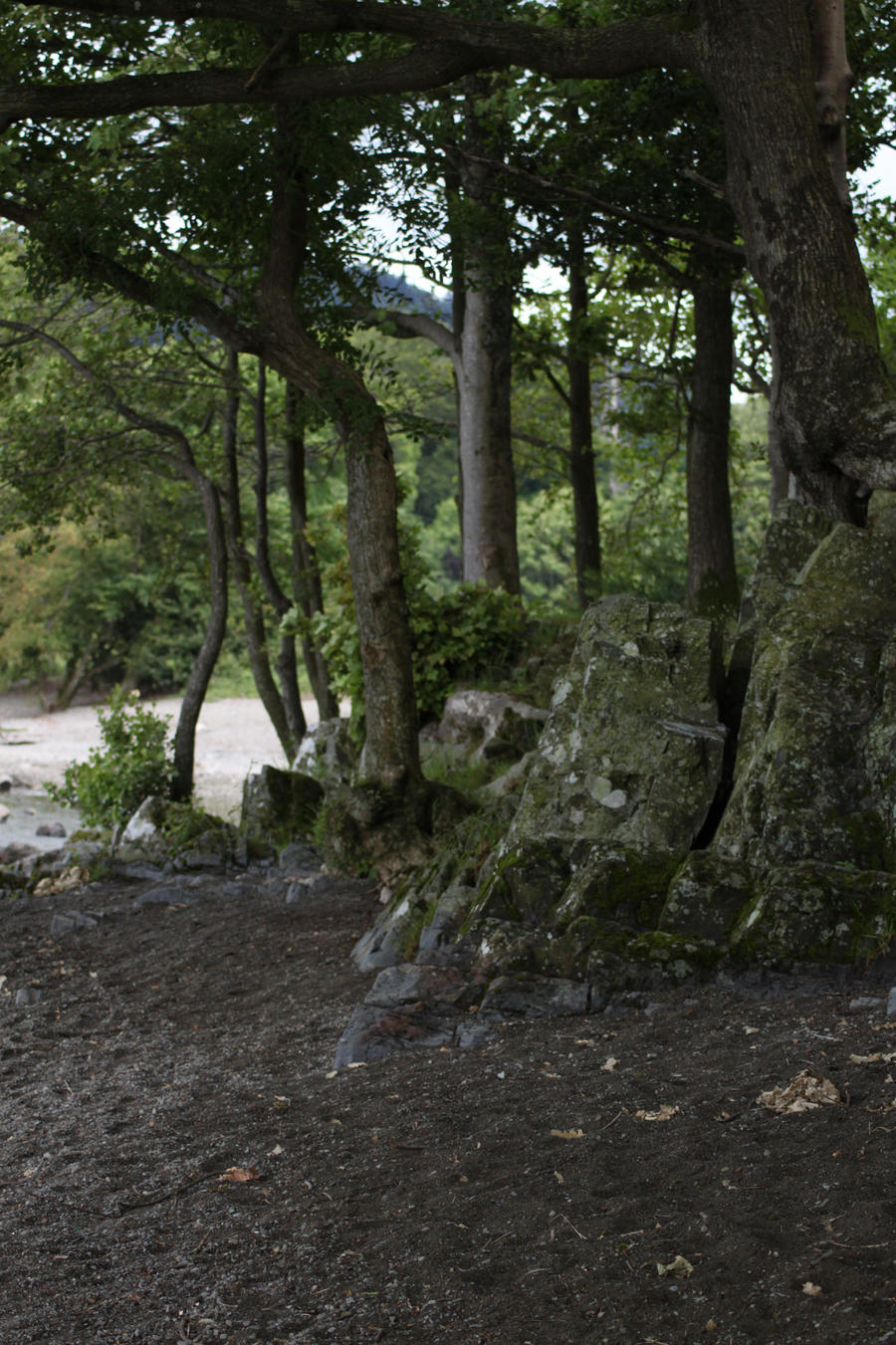 Lake District - Windermere 8