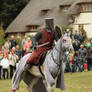 Kenilworth Show 46