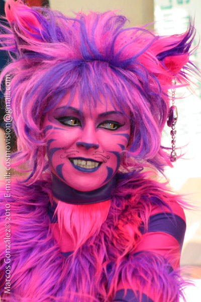 the face of Cheshire cat