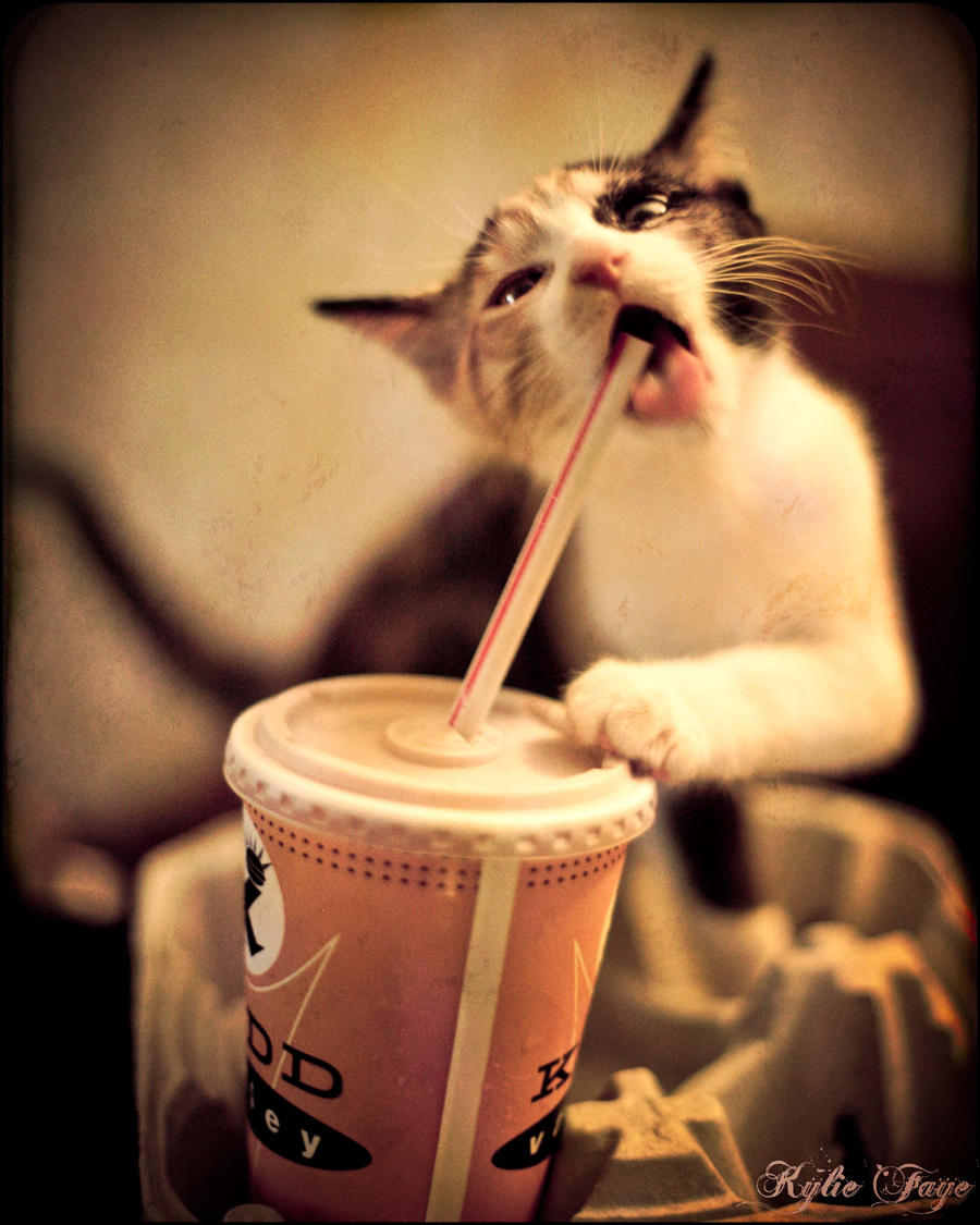 Yummmmy