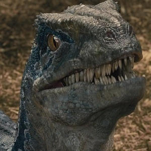 Jurassic World-Blue the Velociraptor Smilling 2 by BlakeRitter on ...