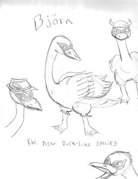 Bjorn the new Ducklike Species