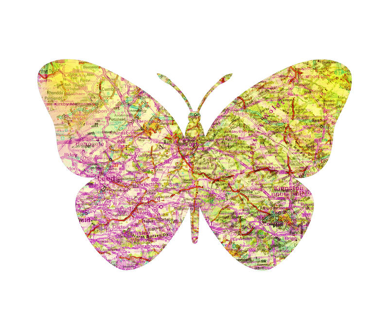 Map Butterfly