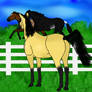 Greeting The New Mares