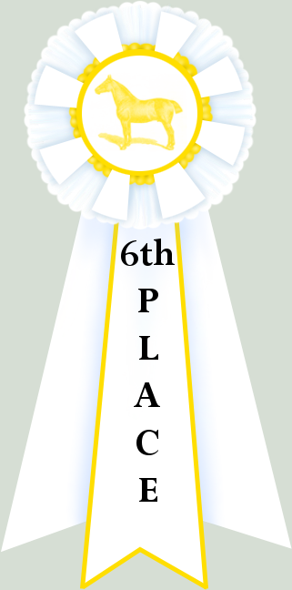 6th Place Sticker 6th Place Ribbon