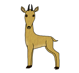 Gaston - Salt's dik-dik