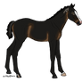 IHS Lady of the Lach - SOLD