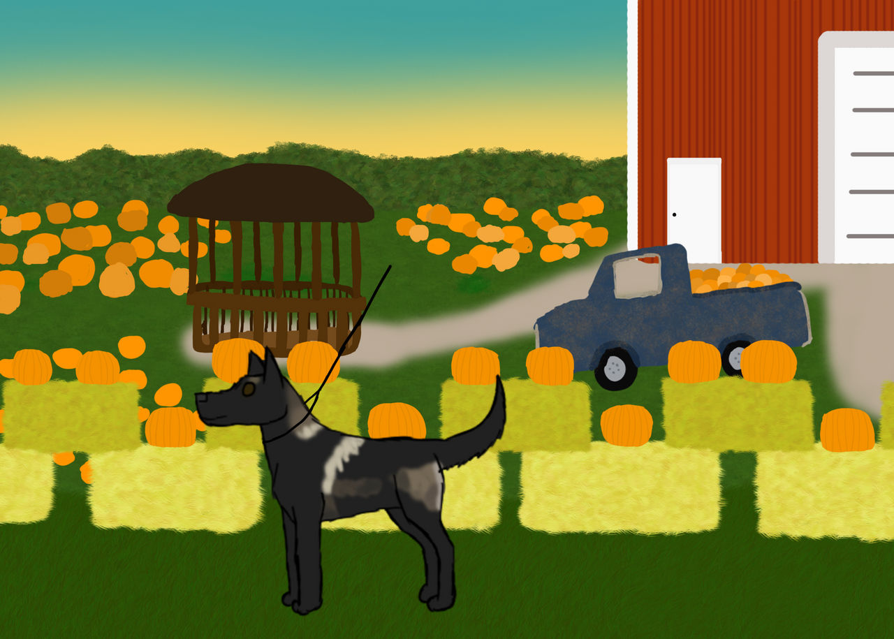 Hawk Pumpkin Patch Festival by SkyWolfSpirit on DeviantArt