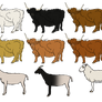 Starter Livestock Package 51