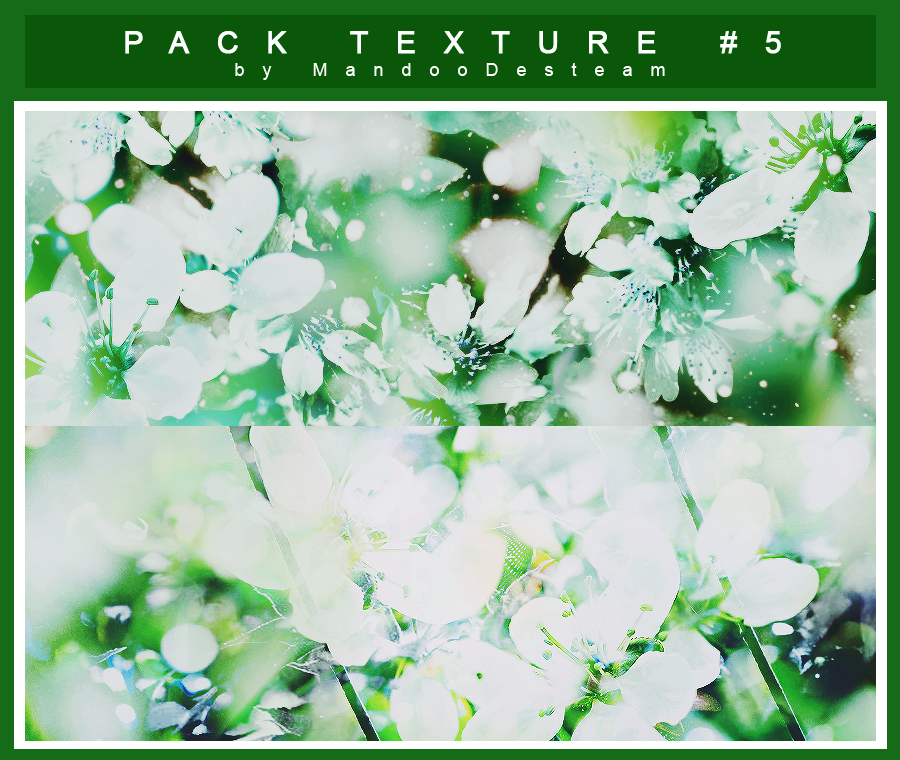 ///191216/// PACK TEXTURE