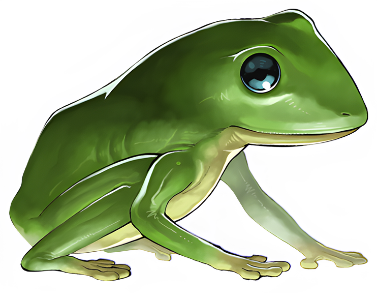 Des Frog by animecardsbr on DeviantArt