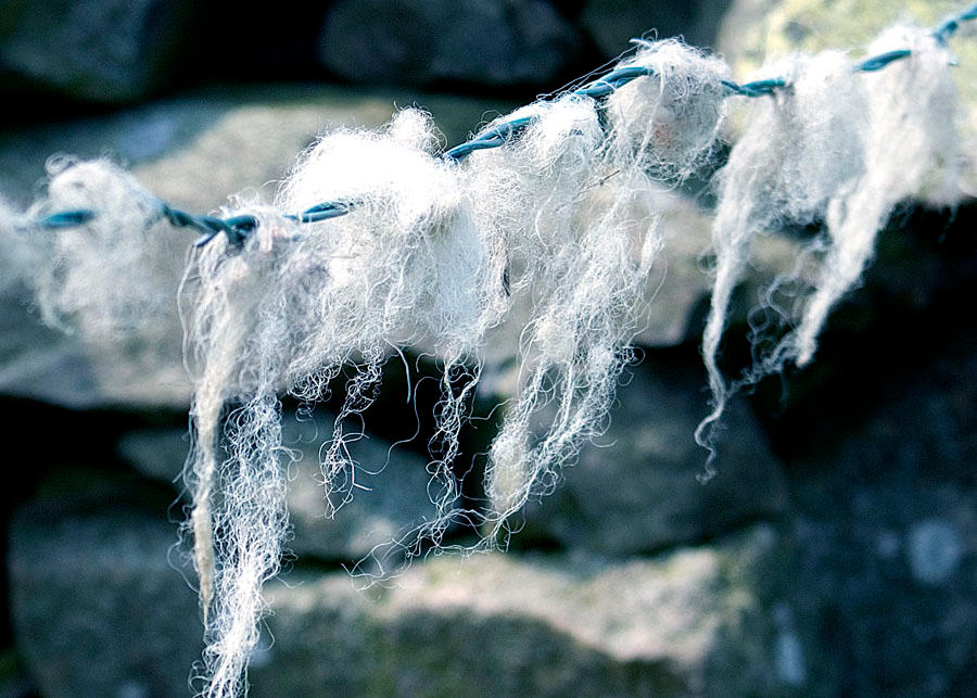 Steel wool by Lightfoot11 on DeviantArt