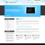 CMS - business theme
