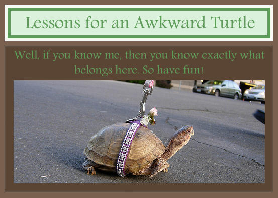 Awward Turtle Lessons for an Awkward Turtle by temporary151 on DeviantArt