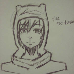 Finn The Human