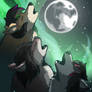 Three Coyote Moon