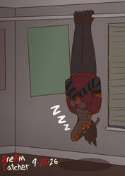 Vertical Nap