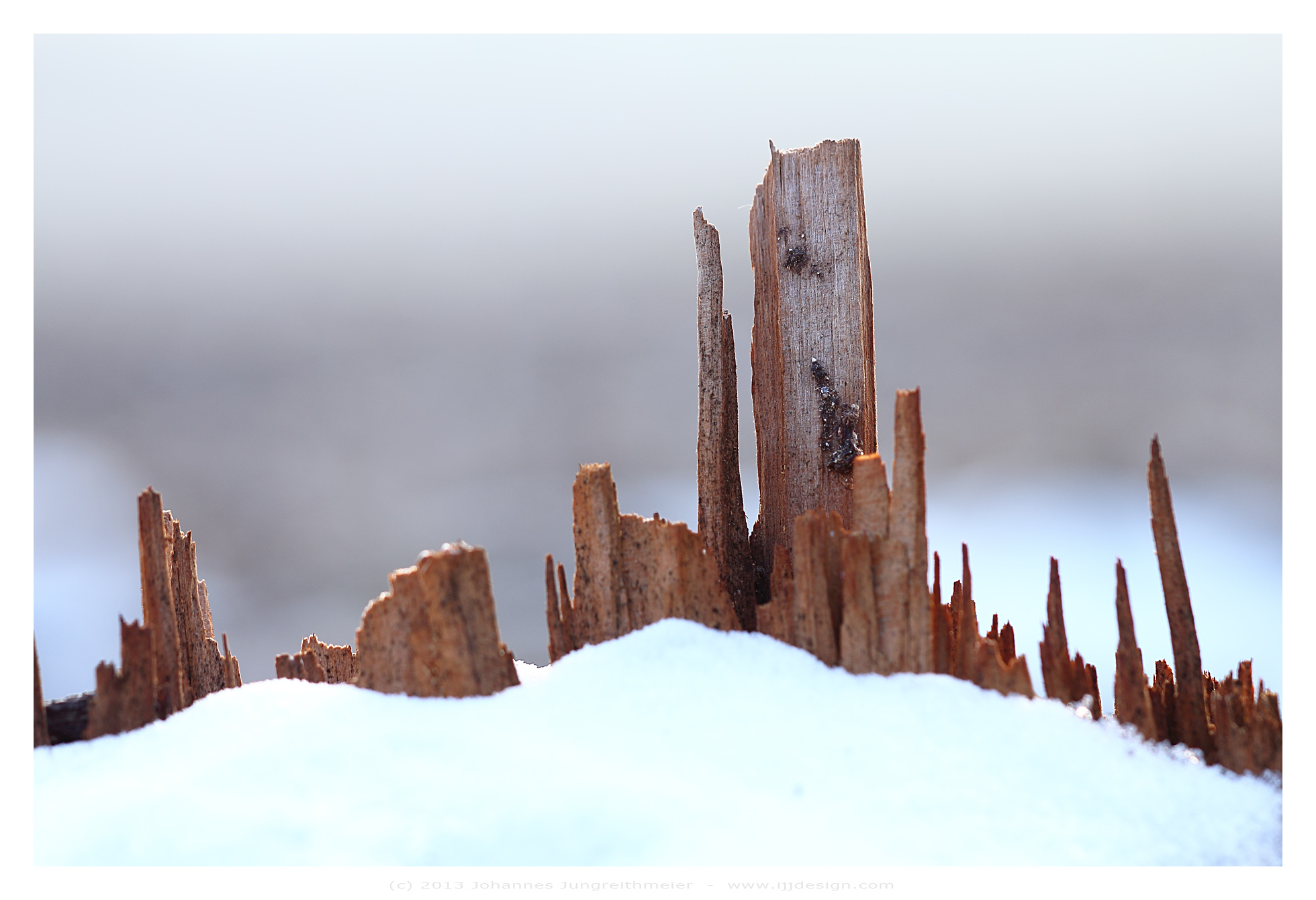 wooden winter-skyline