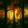 Forest on fire 2