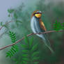 European bee-eater