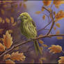 Autumn leaves - Yellowhammer