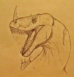 Random Dragon Head Sketch 005