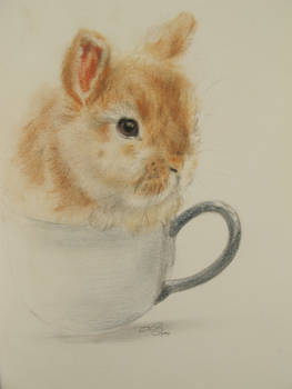 a Cup of Bunny