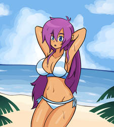 Beach shantae