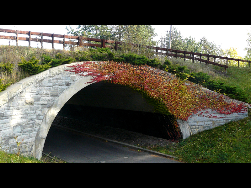 Fall Tunnel