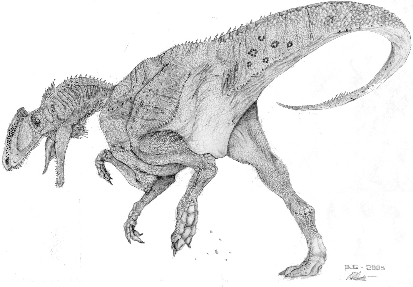 Zupaysaurus rougeri