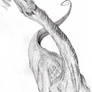 Diplodocus longus