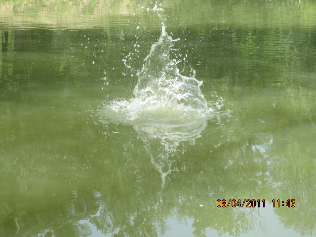 Splash 4