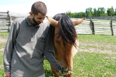 Feeding my wild stallion friend