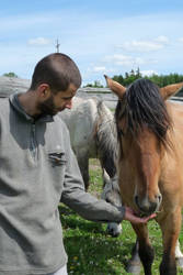 Feeding of my wild stallion - another shoot